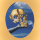 Cover art for album Skullflower by Sun Angle