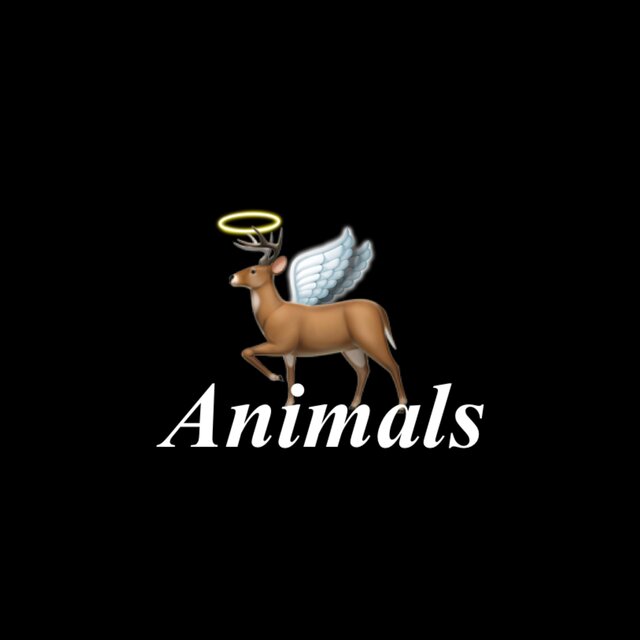 Animals