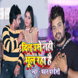 Dil Use Nahi Bhul Raha Hai