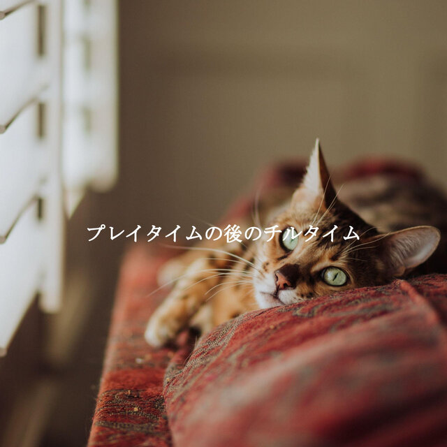 プレイタイムの後のチルタイム
