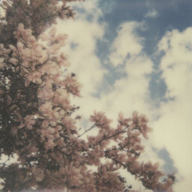 etudes for the soul