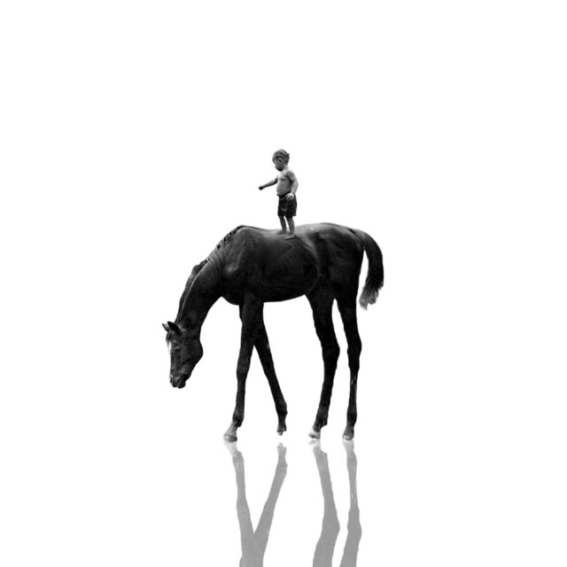 High Horse