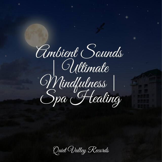 Ambient Sounds | Ultimate Mindfulness | Spa Healing