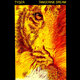 Cover art for album Tyger by Tangerine Dream