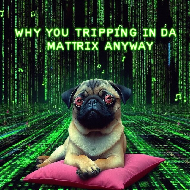 InDaMatrixAnyWayWhyYouTrippin