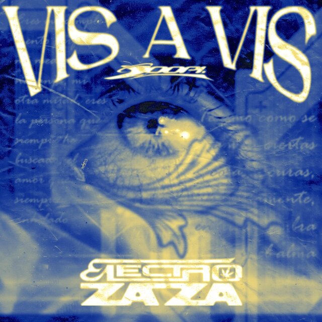 Vis a vis