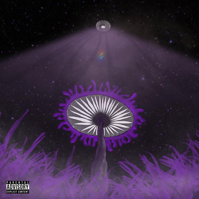 the rnbeezy tapes vol.2: the first days of june