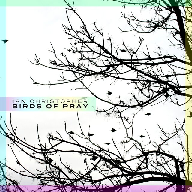 Birds of Pray
