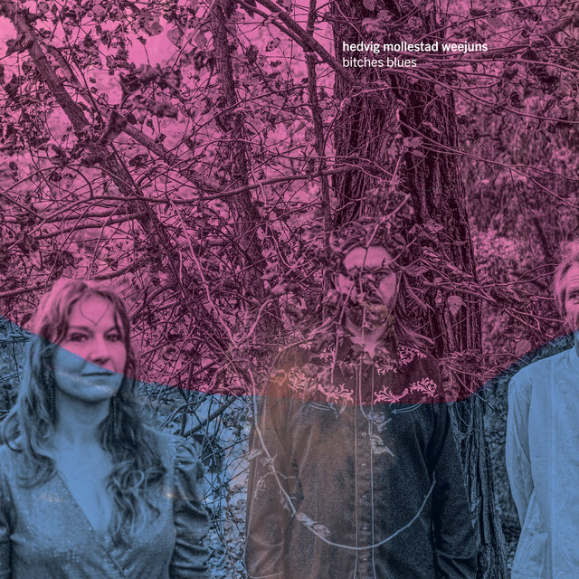 Cover art for album Bitches Blues by Hedvig Mollestad Weejuns