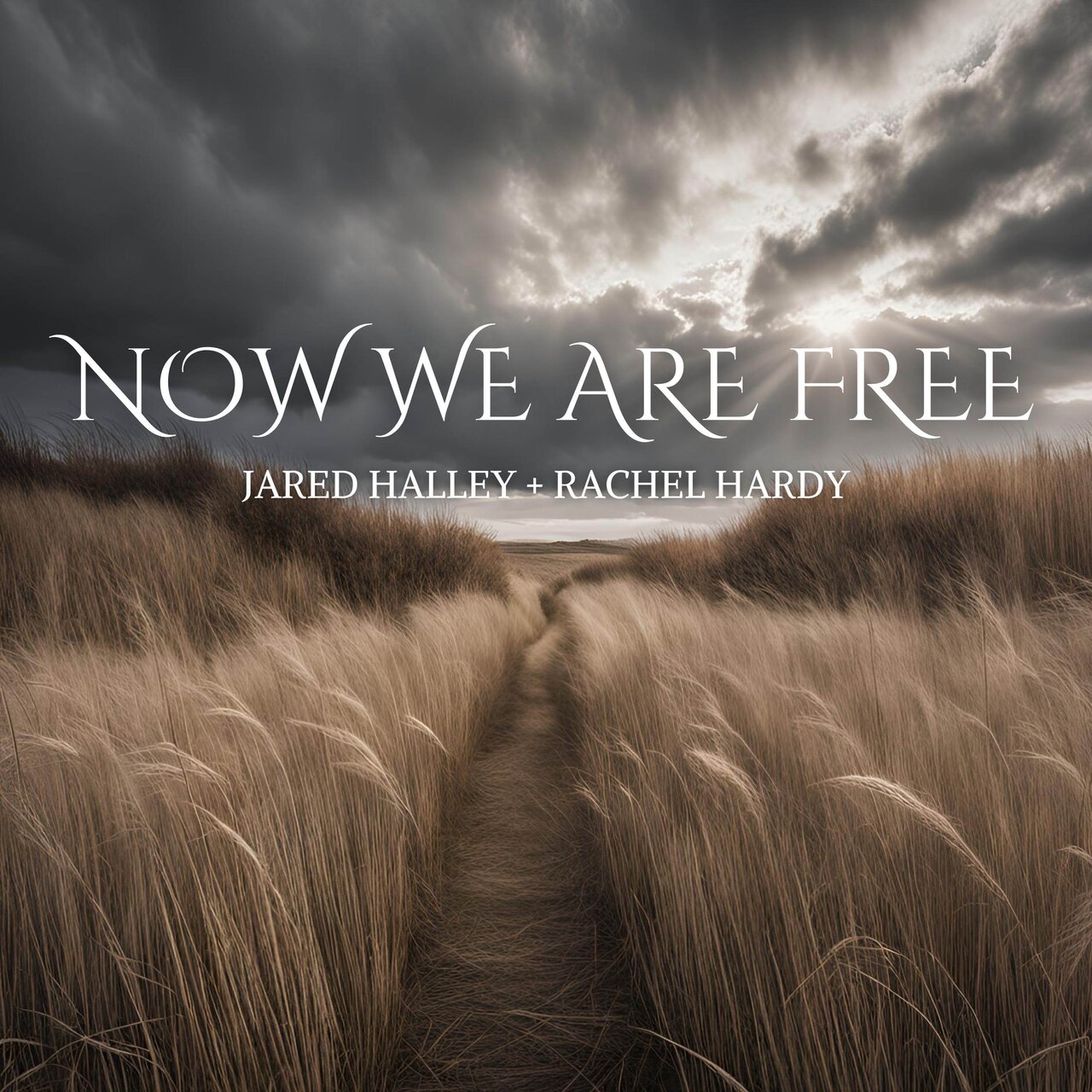 Singer Jared Halley Now We Are Free (Acappella) by Jared Halley & Rachel Hardy on TIDAL