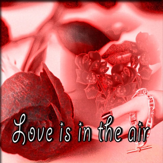 Love Is in the Air
