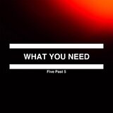 What You Need