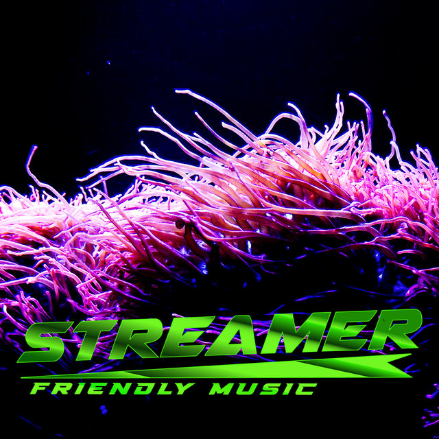 Streamer Friendly Music For Gaming Stream