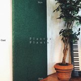 Plastic Plants
