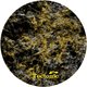 Cover art for album Whirl / Poke by DeciBel