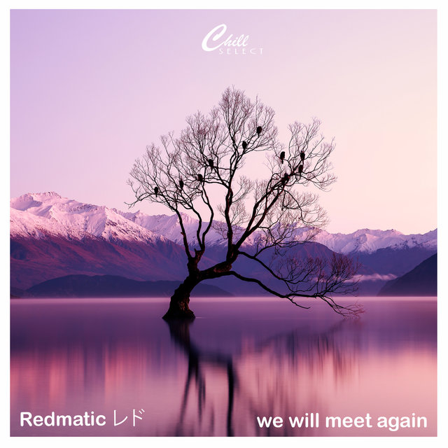 We Will Meet Again