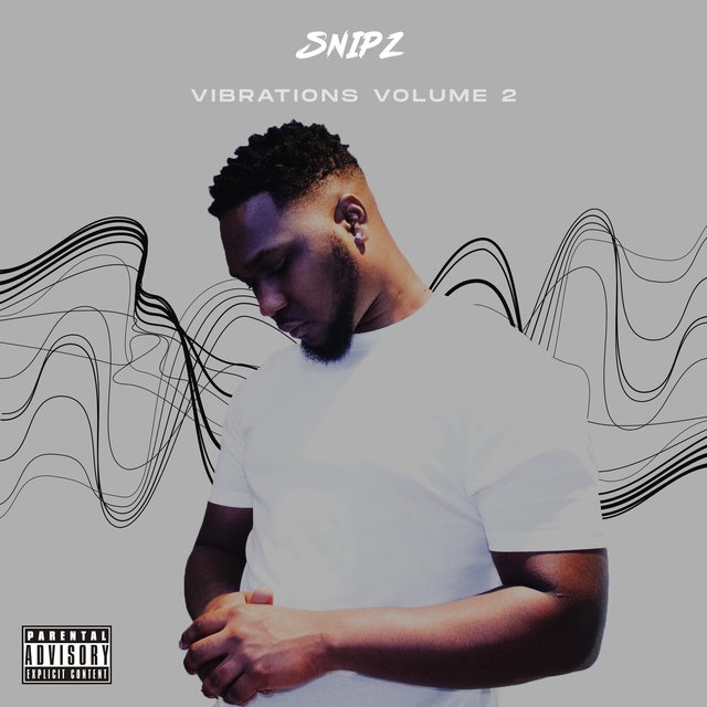 Vibrations Vol. 2
