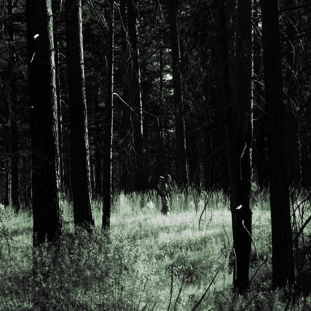 Lost (Without You)