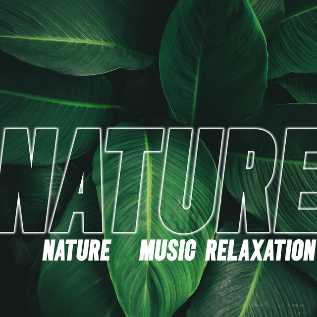 Nature (Music Relaxation, Feel Closeness, Calm Down and Find Peace)