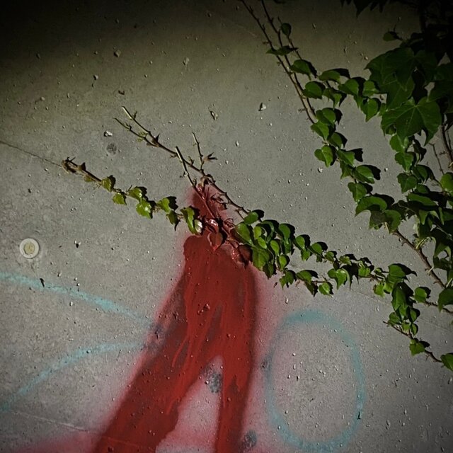 Cut coarsely