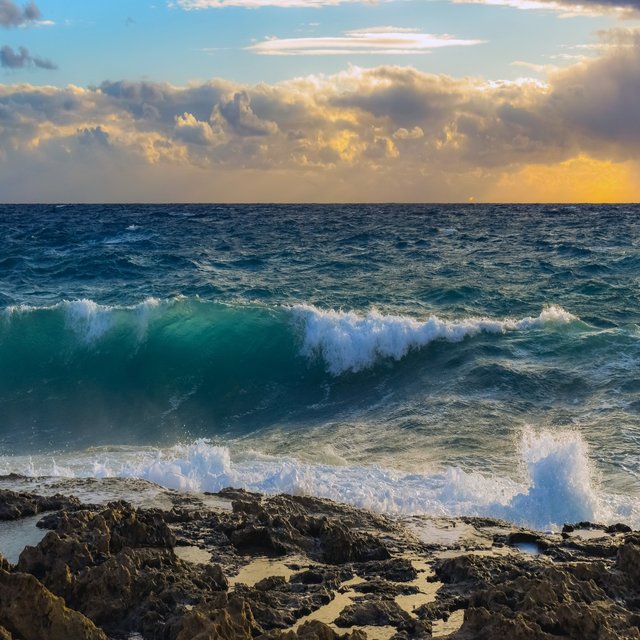 Breathe In