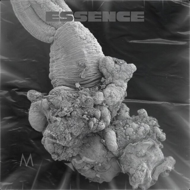 Essence