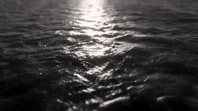 Follow The Sun (Official Audio)