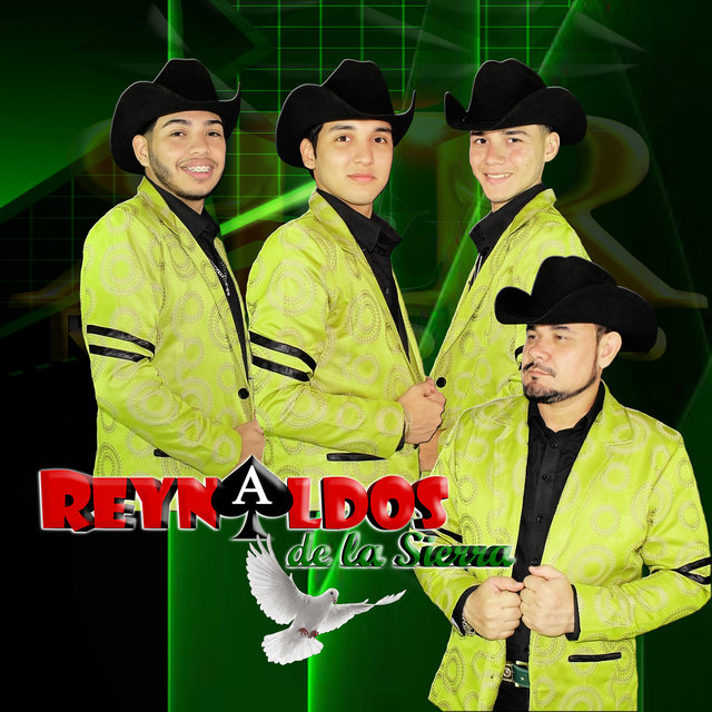 Álbum 40 Puros Exitos