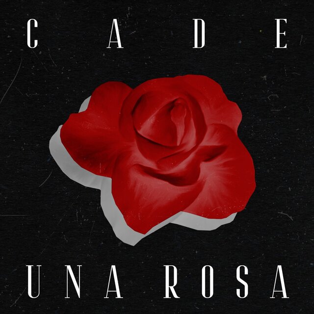 Una Rosa