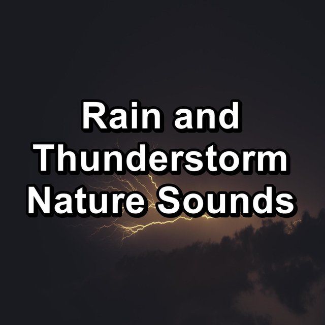 Rain and Thunderstorm Nature Sounds