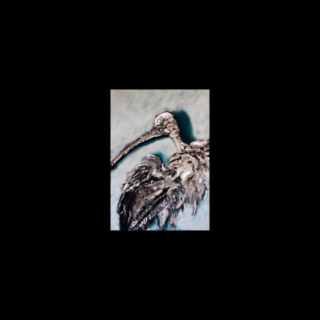 S/T