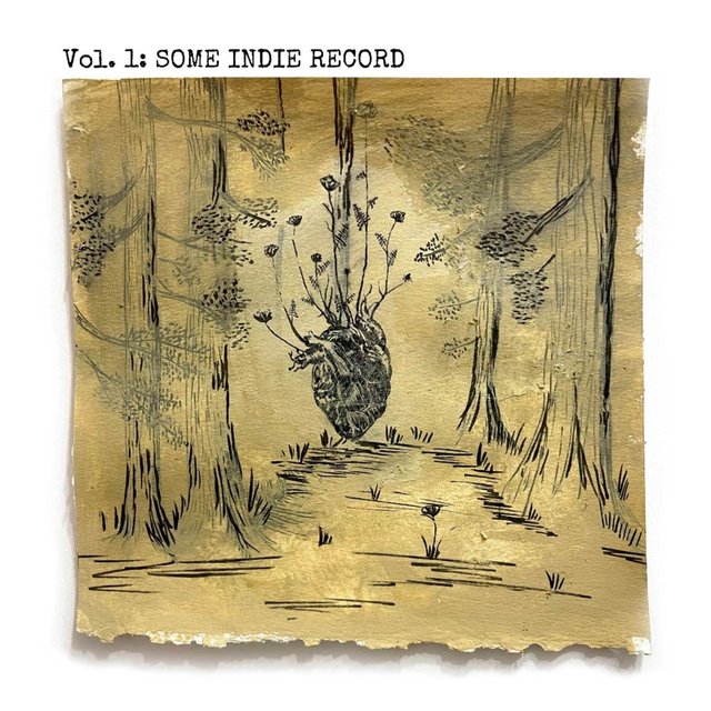 Vol. 1: Some Indie Record