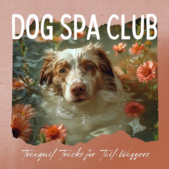 Tranquil Tracks for Tail-Waggers