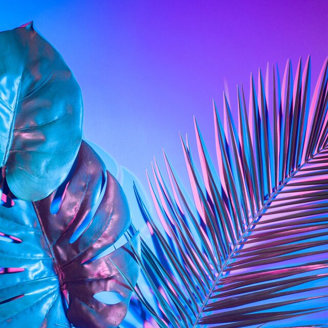 Ultimate Tropical Party Vibes