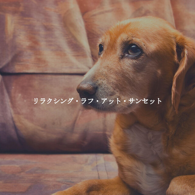 リラクシング・ラフ・アット・サンセット
