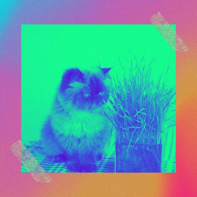 Simplistic (Cat Naptime)