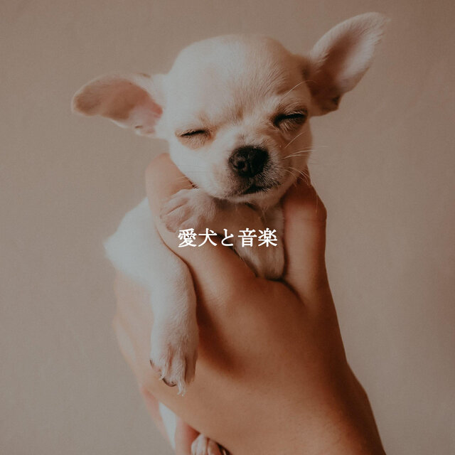 愛犬と音楽