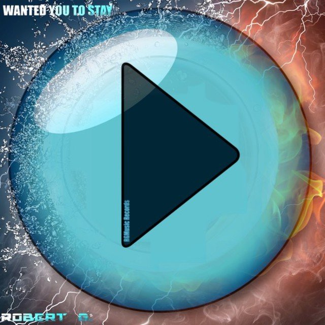 Wanted You To Stay