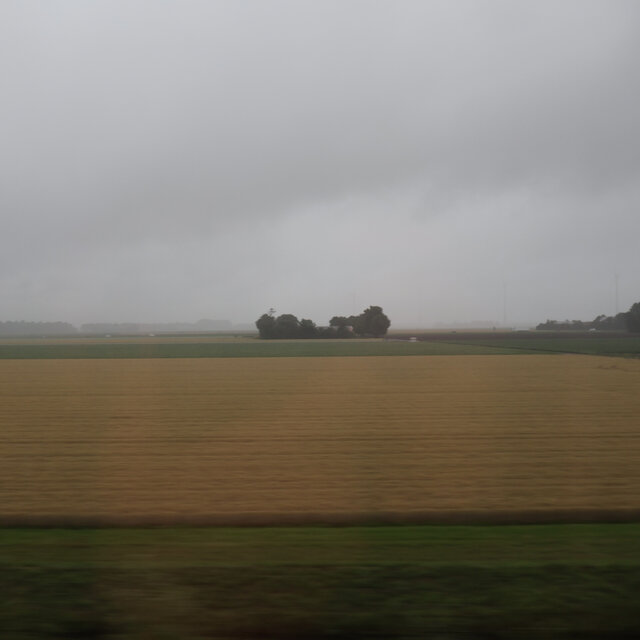 Train to Amsterdam