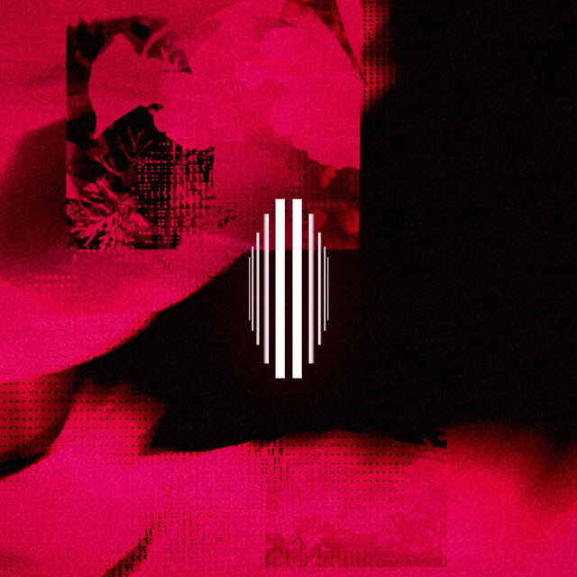 Cover art for album Hurt You by Without the San