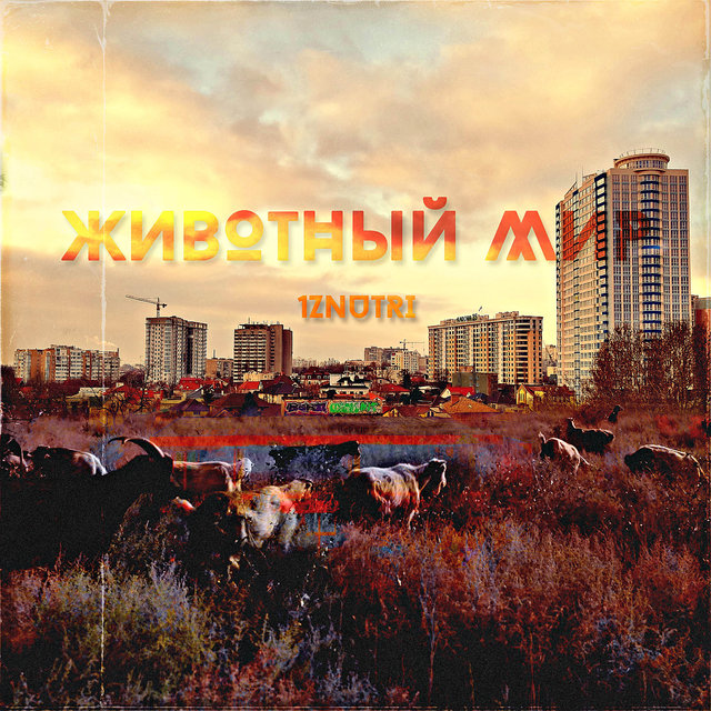 Животный Мир