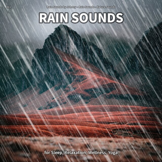 #01 Rain Sounds for Sleep, Relaxation, Wellness, Yoga