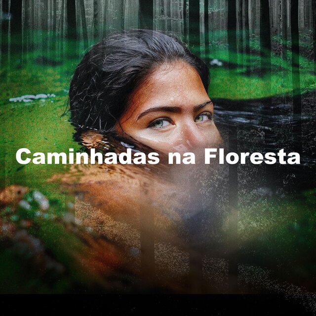 Caminhadas na Floresta