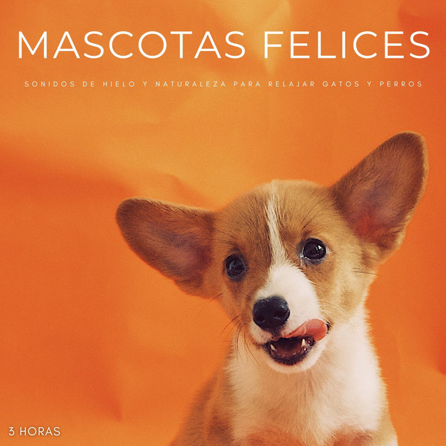 Mascotas Felices: Sonidos De Hielo y Naturaleza Para Relajar Gatos y Perros - 3 Horas