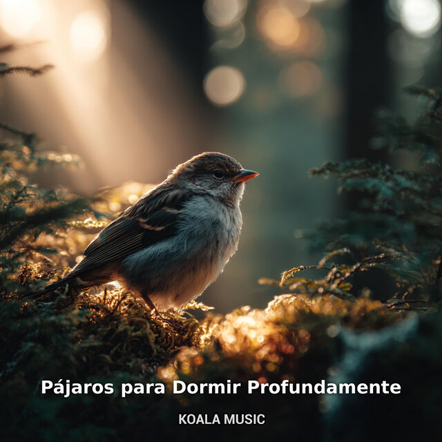 Pájaros para Dormir Profundamente