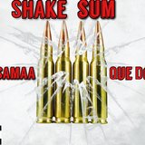 Shake Sum (feat. Tru Osamaa)