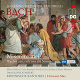 Miserere in C Minor für Soli, Chor und Orchester: Asperges me hyssopo