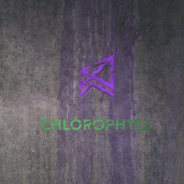 CHLOROPHYLL