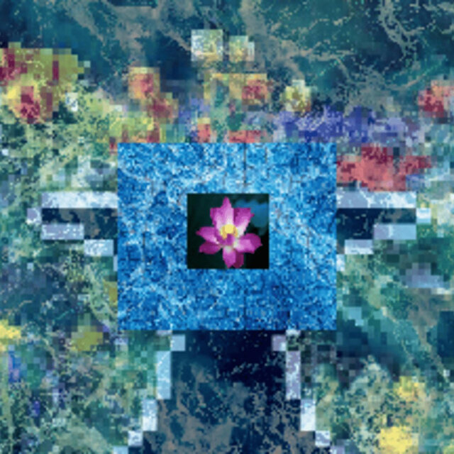Around the Flowers