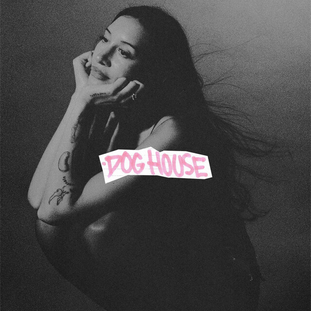 DOG HOUSE